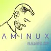 AMINUX - Hands Up - Single